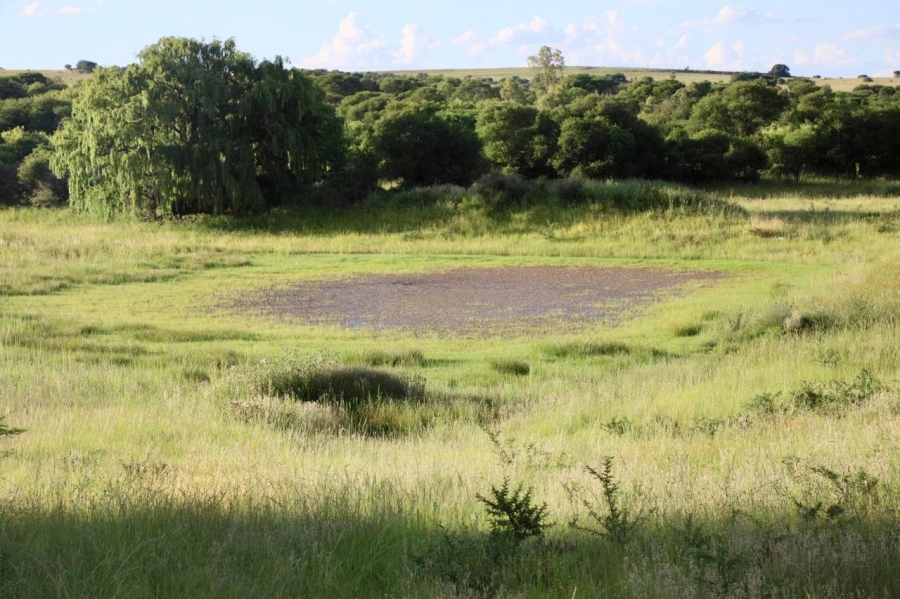 0 Bedroom Property for Sale in Heilbron Free State